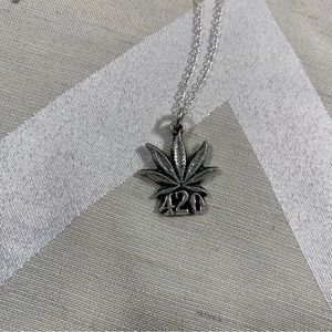 Mountain Medallion 420 necklace